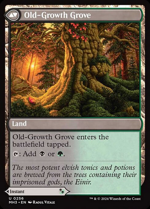 Revitalizing Repast // Old-Growth Grove