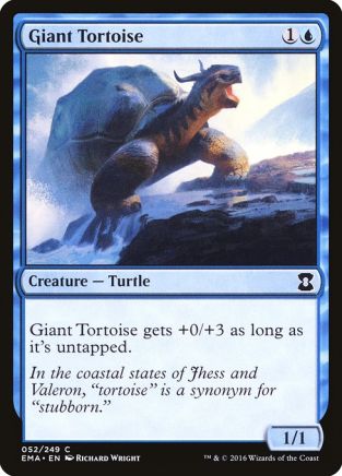 Giant Tortoise