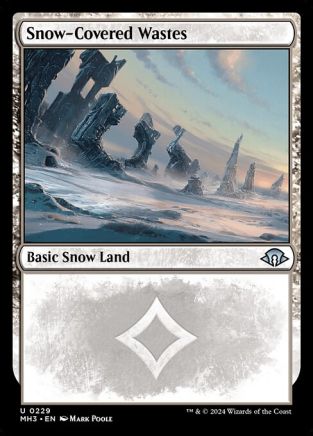 Snow-Covered Wastes