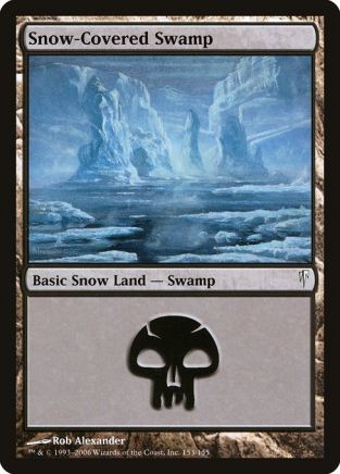 Snow-Covered Swamp