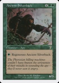 Ancient Silverback