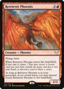 Retriever Phoenix