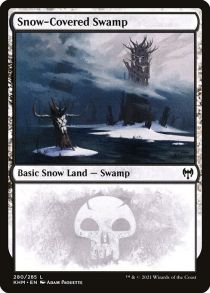 Snow-Covered Swamp