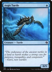 Aegis Turtle