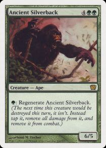 Ancient Silverback