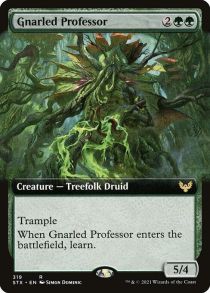 Gnarled Professor