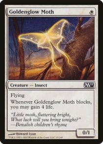 Goldenglow Moth