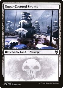 Snow-Covered Swamp