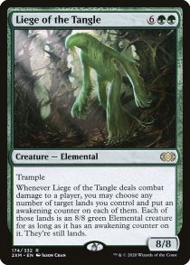 Liege of the Tangle