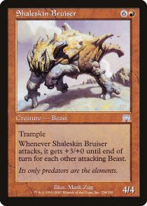 Shaleskin Bruiser