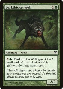 Darkthicket Wolf